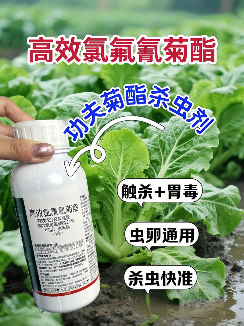 贺州代生中心:农药对供卵代生妈妈的危害